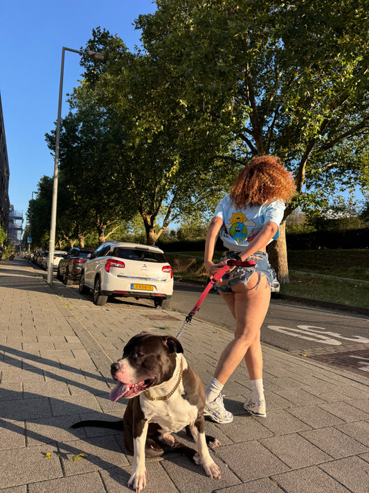 Today Is A New Day Oversized Tee Sky Blue